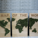 Пано от мъх " A map of the world"