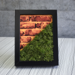 Картина от мъх "Brick and moss"