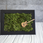 Картина от мъх "Rock & Moss"