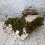 Декоративен камък с горски мъх
