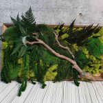 Фито картина "Jungle"