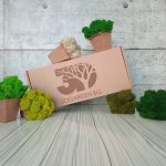 Box - Greens - Moss