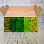 Mix - Box - Greens