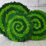 Circle Spiral