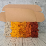 Cosmopolitan - Box