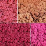 Box - Pink - Moss