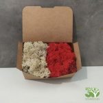 Martenitza-Box